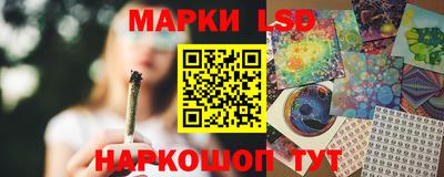 Альфа ПВП Кандалакша