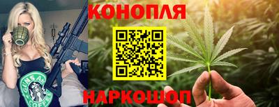 Альфа ПВП Кандалакша