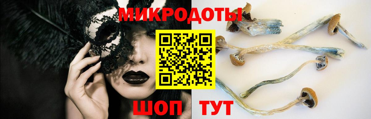 Псилоцибиновые грибы Psilocybine cubensis  Вход с VPN  где купить наркоту  Кстово 